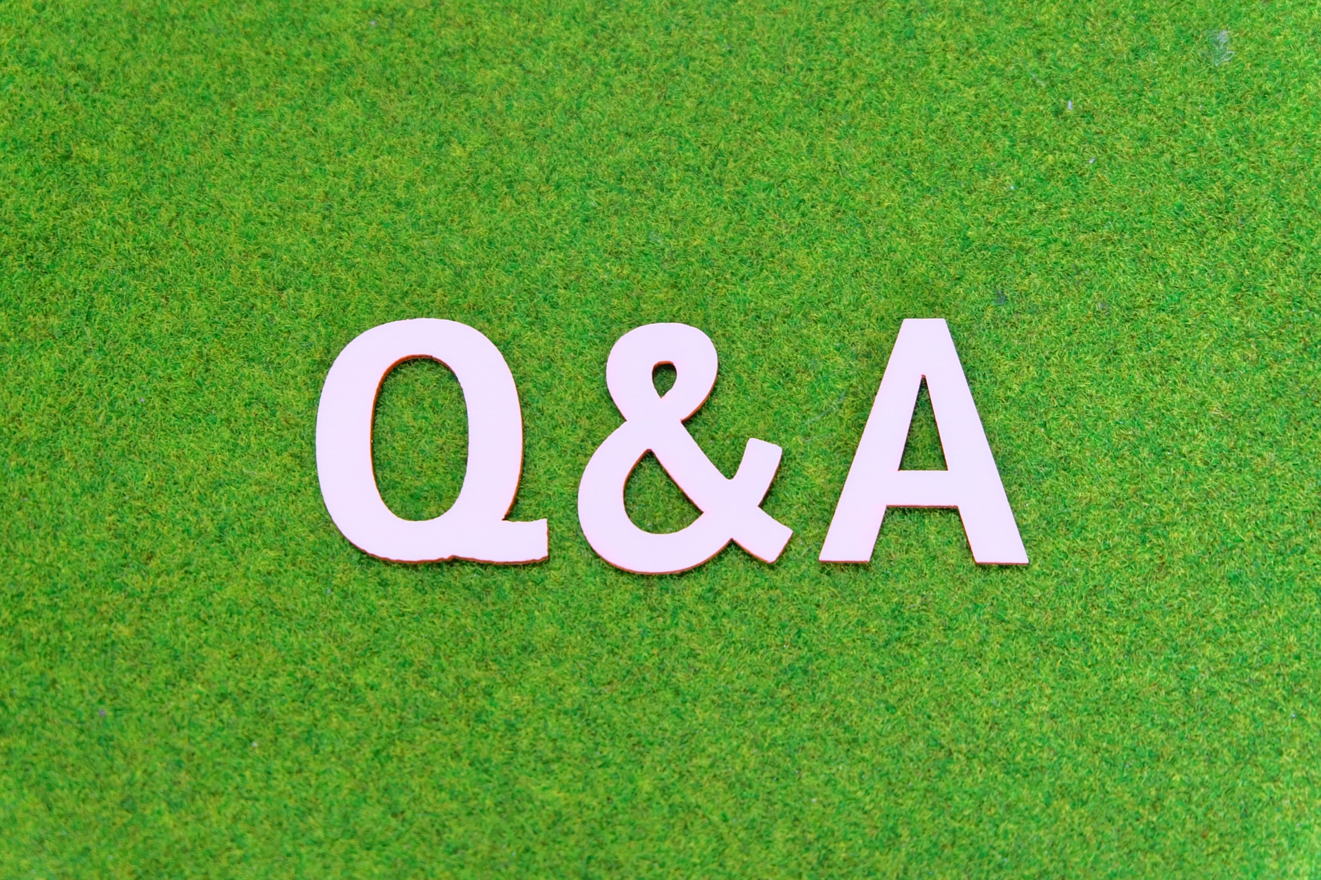 Q&A