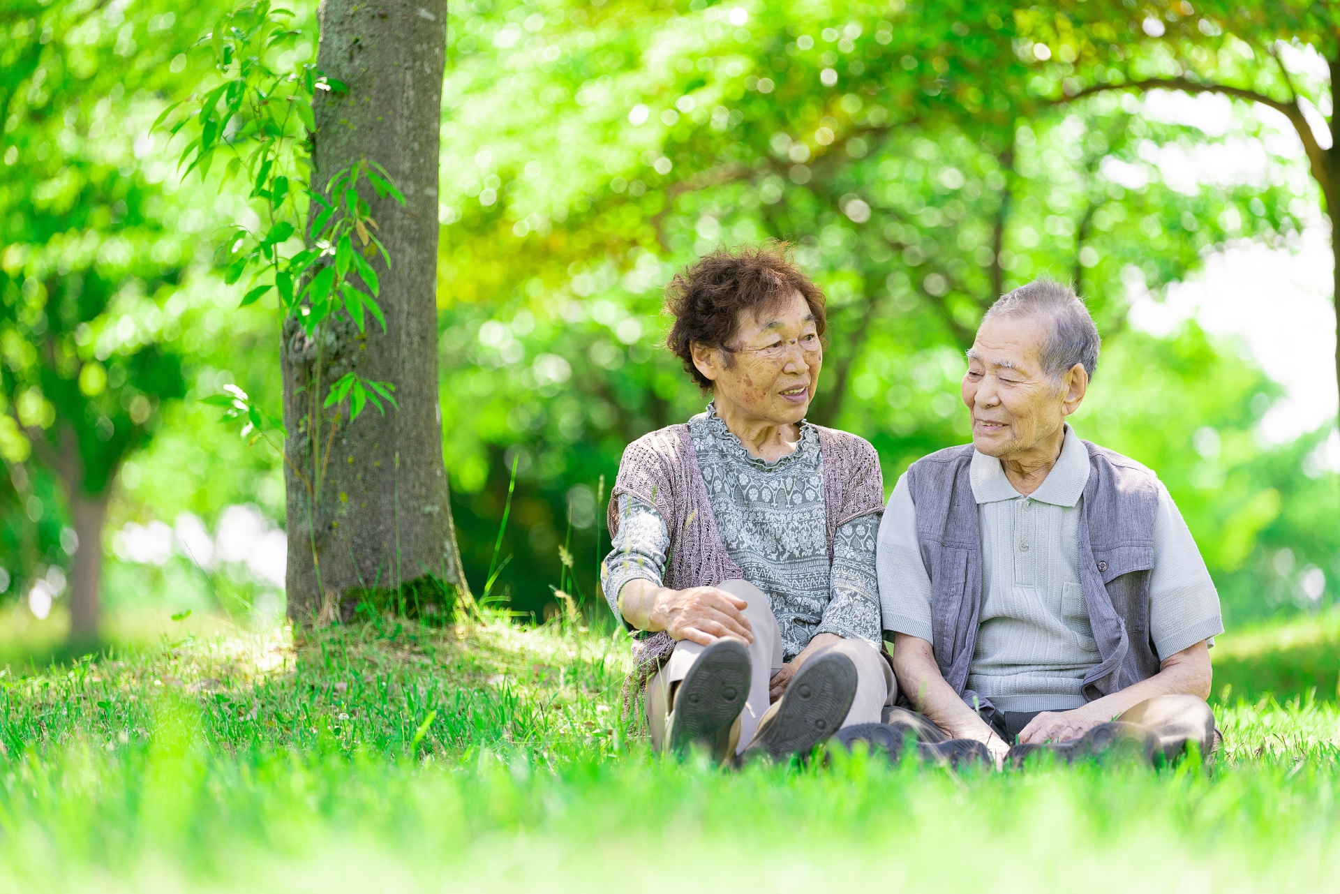 成年後見制度とは判断能力がない人の財産を別の人が管理する制度