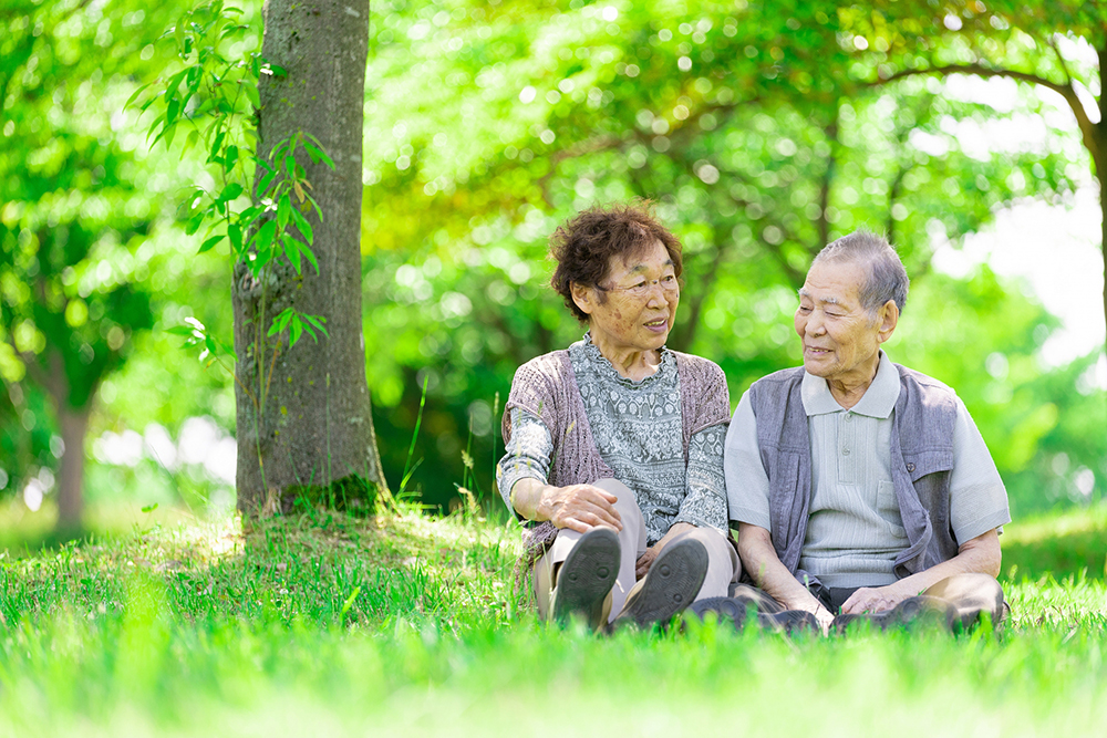 成年後見制度の内容